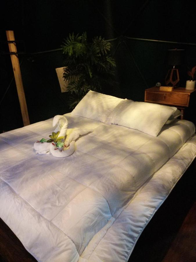 Momotus Glamping Hotel Florencia Exterior photo